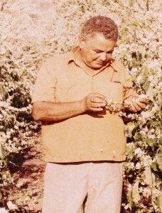 Anisio Santiago 6-001